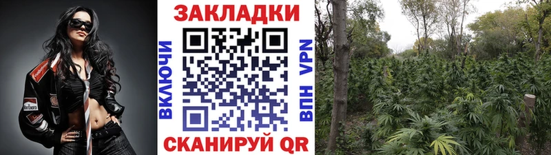 Купить Кокаин  Псилоцибиновые грибы  Мефедрон  Метадон  МАРИХУАНА  ГАШ  Звенигово